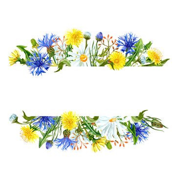 Watercolor banner of wildflowers