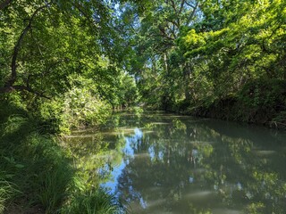 river in the forest,  Medina River Trail, San Antonio TX