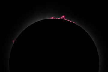 Solar Eclipse - Totality with Solar Prominences

Photo Taken on April 8, 2024 in Hot Springs,...