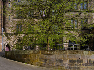 Fototapeta na wymiar Linde mit frischen Blättern vor Alter Universität Marburg
