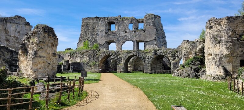 Ruines de Coucy le Ch&acirc;teau.