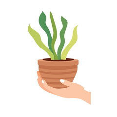 Hand holding  flower pot vector image, plant in hands flat illustration
