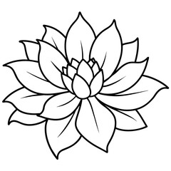    Flower vector illustration with line art.
