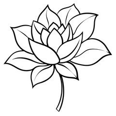    Flower vector illustration with line art.
