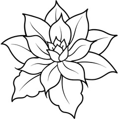    Flower vector illustration with line art.
