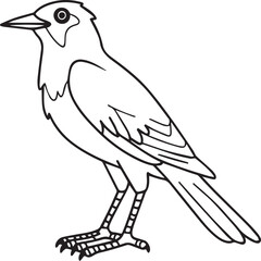 Magpie Flying Bird for children. Coloring book. Bird Vector illustration. Magpie coloring pages