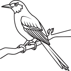 Magpie Flying Bird for children. Coloring book. Bird Vector illustration. Magpie coloring pages