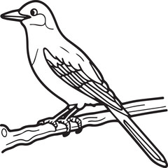 Magpie Flying Bird for children. Coloring book. Bird Vector illustration. Magpie coloring pages