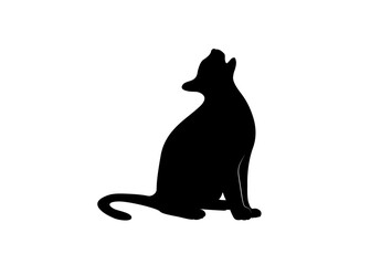 The silhouette of a meowing cat with open mouth sitting looking up