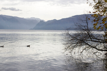 Lake Traunsee and Alps seen from Toscana Park in Gmunden, Upper Austria, Austria - 783885386