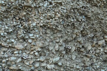 Section of soil with different layers of earth and stones visible. Vertical soil.