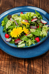 Fresh dandelion salad - 783886173