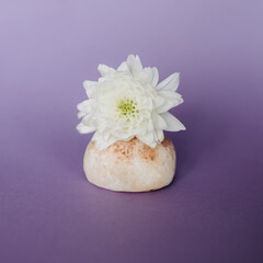 A popular Japanese dessert made from rice flour and cream filling - mochi