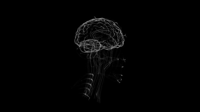 3d render Holographic animation of wireframe human brain spinning on black background
