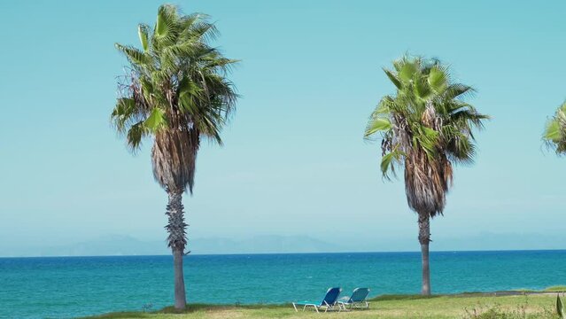Two palm trees are on a beach next to the ocean