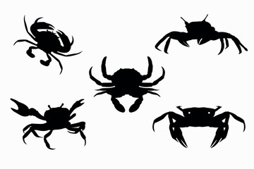 Crabs graphic icons set. Sea crabs contour silhouette and sign isolated on white background. Vector illustration