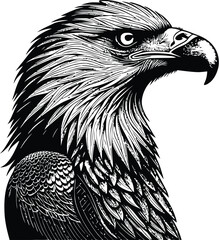 Naklejka premium A close-up eagle black-white silhouette