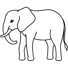 elephant cartoon illustration