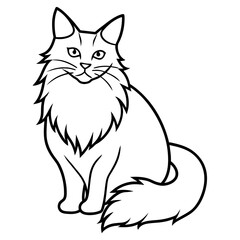 black cat cartoon.  maine coon cat icon vector illustration