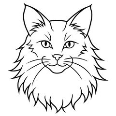 vector illustration of a cat. Maine coon cat icon