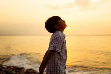 Young Boy Contemplating Life at Sunset by the Sea - Powered by Adobe