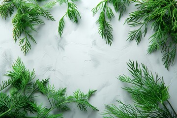 Fresh green dill sprigs on a white background. Generative Ai