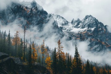 Discover the Rugged Wilderness of Cascades National Park: A Must-Visit Travel Destination for Adventurous Outdoors and Tree-Lovers - obrazy, fototapety, plakaty