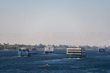 Cruise ships along the Nile river bank with the Sahara desert behind in Egypt 