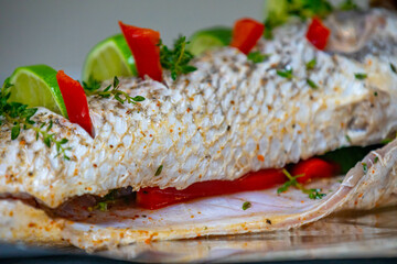 Sea fish known as croaker Argyrosomus regius