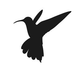 hummingbird