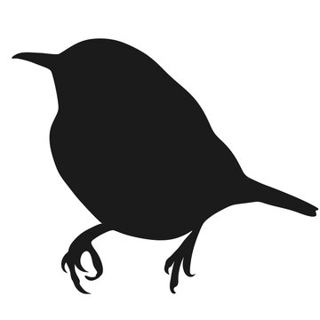recommend clip art: wren
