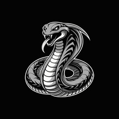 Fototapeta premium black and white snake