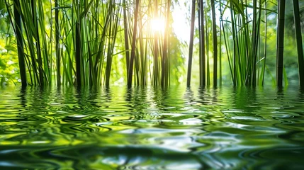 Tuinposter   The sun illuminates the bamboo leaves, casting reflections on the tranquil water surface with gentle ripples in the foreground © Jevjenijs