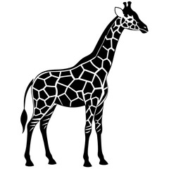 giraffe vector illustration