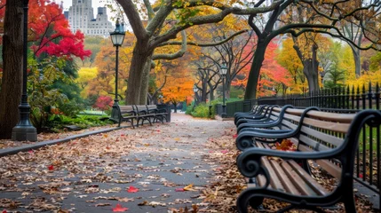  Autumn time in Central park. © Syahrul Zidane A