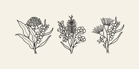 Line art Australian native flower arrangements - obrazy, fototapety, plakaty