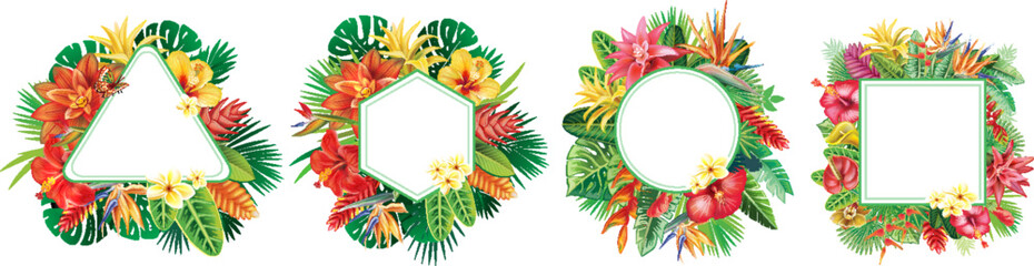 Set of Frames and from Tropical Flowers and Leaf