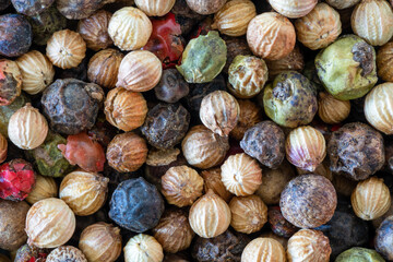 Set of peppercorns of different species and colors arranged in a disorderly