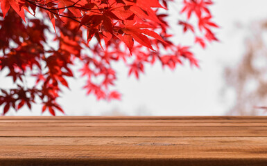 Naklejka na ściany i meble Autumn background with red Japanese maple leaf branches and empty wooden surface board for product placement