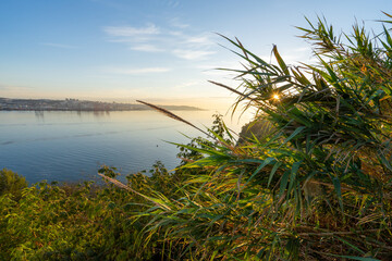 Beautiful River Tagus Lisbon Picture