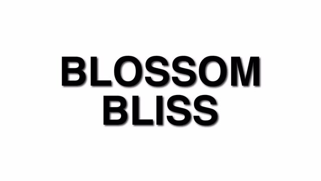 Blossom Bliss 3D Elegant title reveal text animation with shadows on a white background