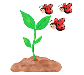 Plant a tree for the earth