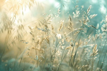 Secret life of grass, beautiful, idyllic spring summer nature background with wild meadow grass close up