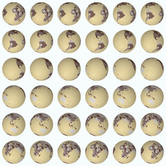 Fototapeta premium Collection of earth globes. Tilted sphere view. Rotation step 10 degrees. Colored countries style. World map with graticule lines on light background. Splendid vector illustration.