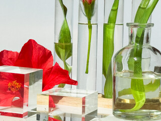 Three glass bottles, dishes, podiums and test tubes filled with red hibiscus flowers and fern...