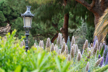 Botanical Garden of Barcelona