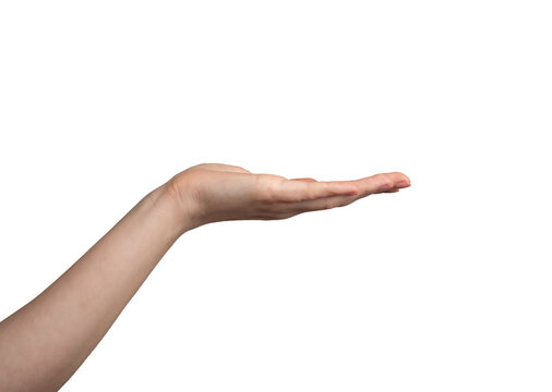 Hand palm stretching out, offering, showing gesture, isolated on white background, transparent png