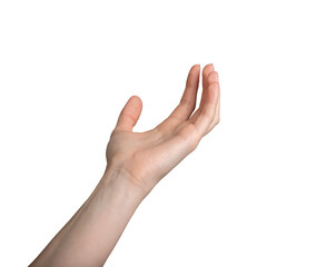 Hand palm in cupped shape, holding something, taking gesture, isolated on white, transparent png