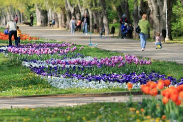 Spring in the Sea Garden of Varna (Bulgaria)
