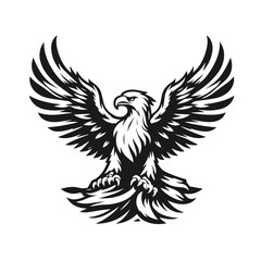 A large wild bird eagle flies with outstretched wings. Vector drawing linear sketch isolated on white background.
